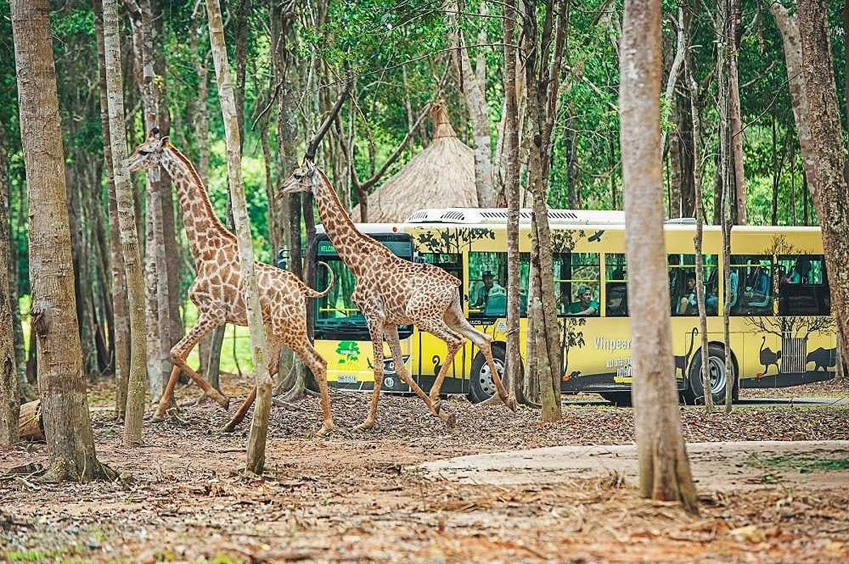 Animal Show at Vinpearl Safari