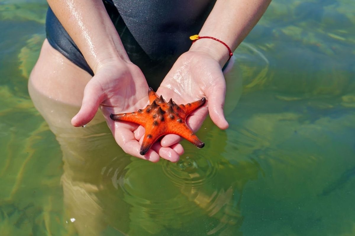 Best time to visit phu quoc 1
