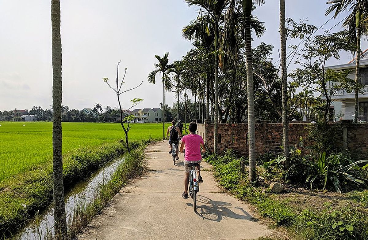 Biking along rice fields in Hoi An Vietnam