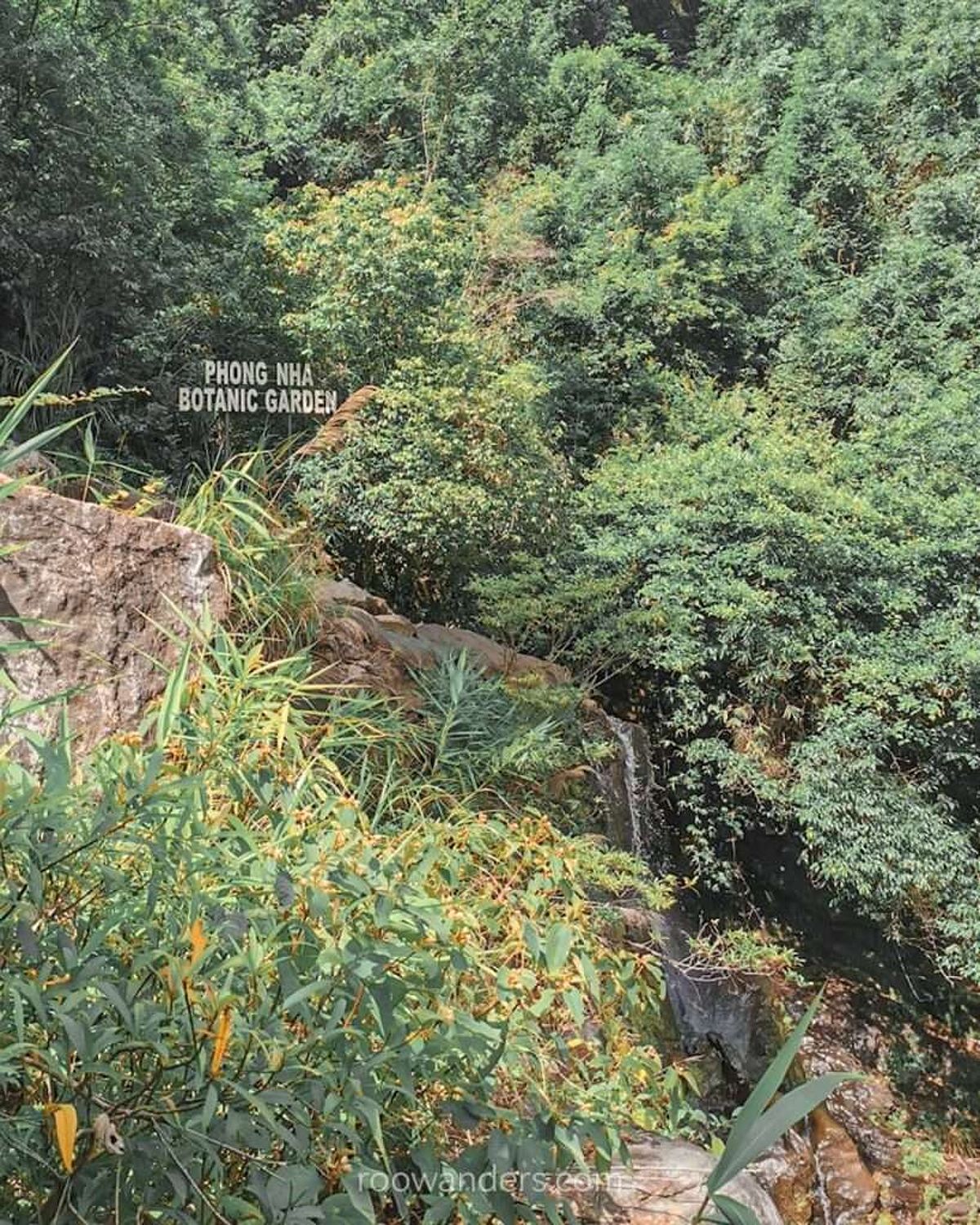 Cascading waterfall in Phong Nha-Ke Bang National Park