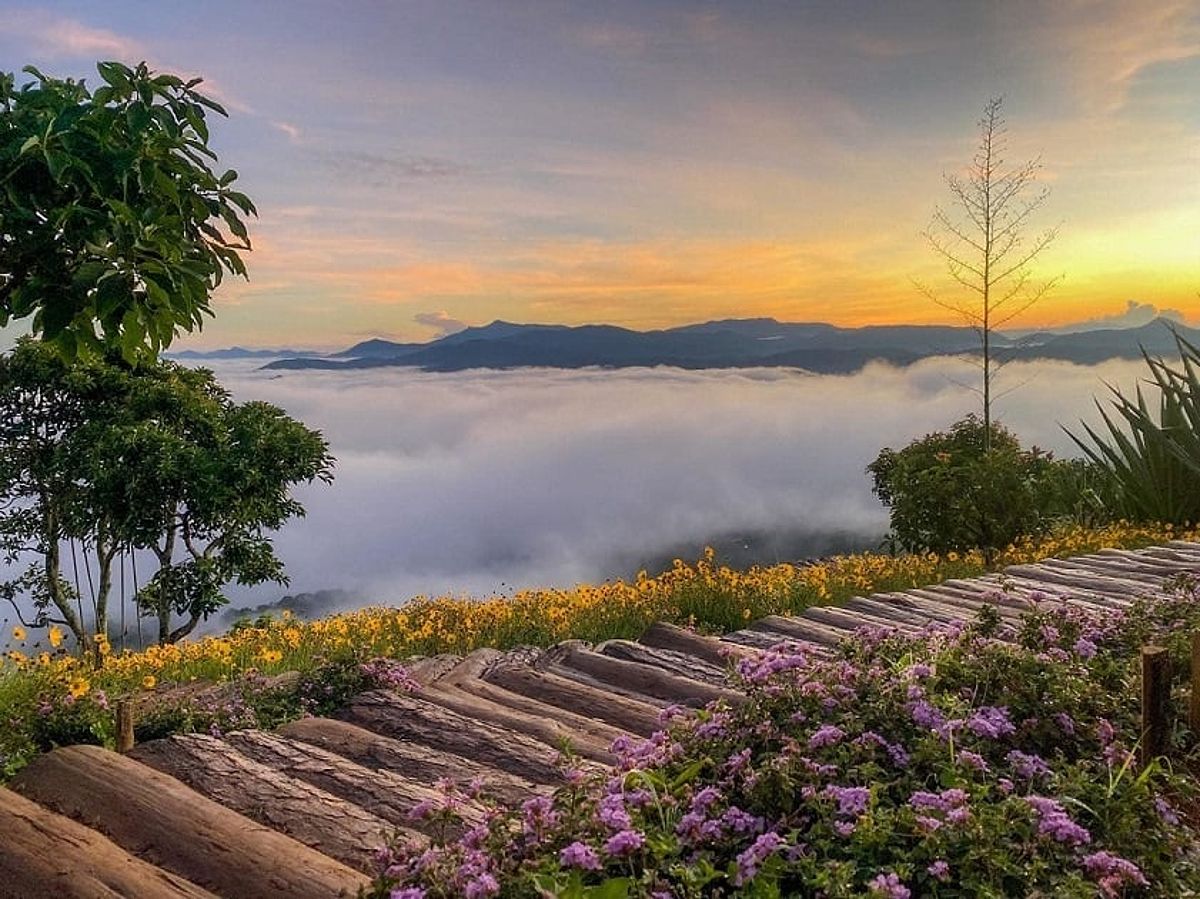 Dalat flower gardens
