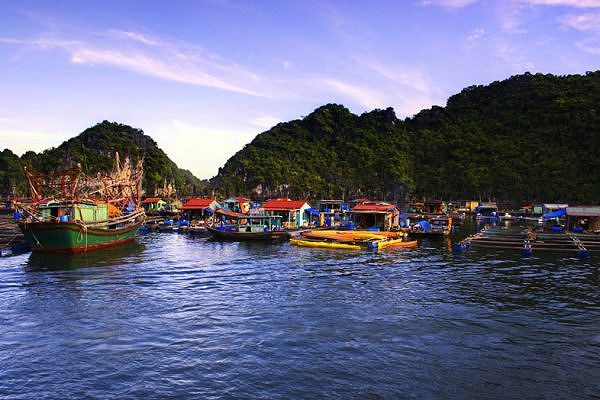 Fishing Village
