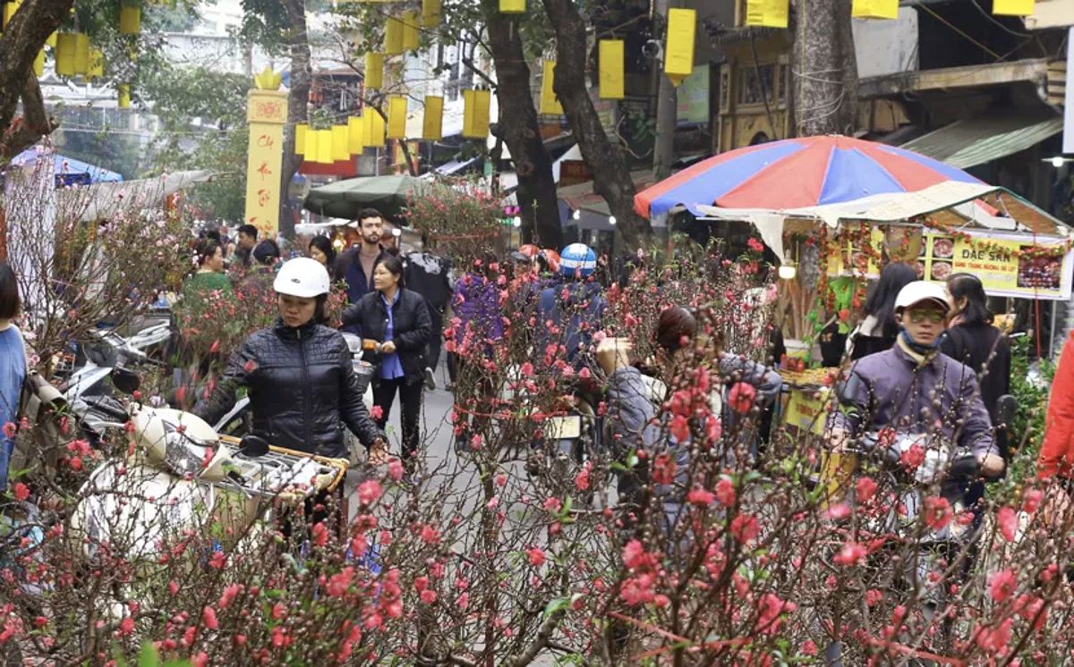Hanoi in bloom during Spring