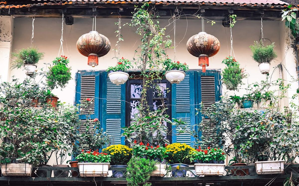 Lanterns and flowers in front of a window with blue shutters in Hanoi's Old Quarter