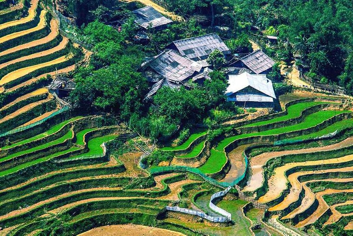 Sapa rice fields showcasing stunning landscapes
