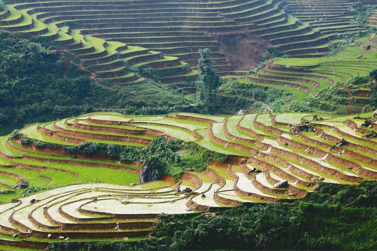 Sapa trekking adventure through beautiful terrains
