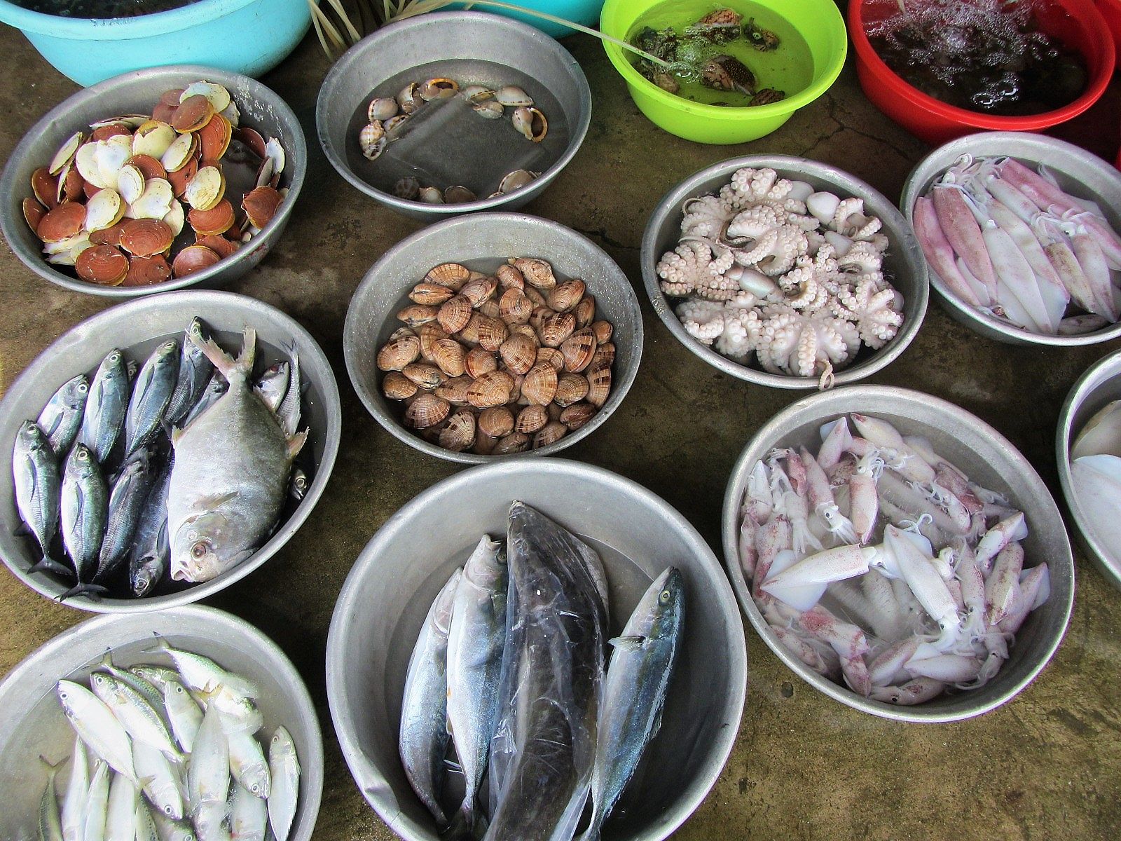 Seafood on Phu Quoc Island, Vietnam