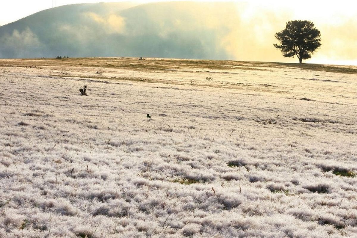 Snow fields in Dalat